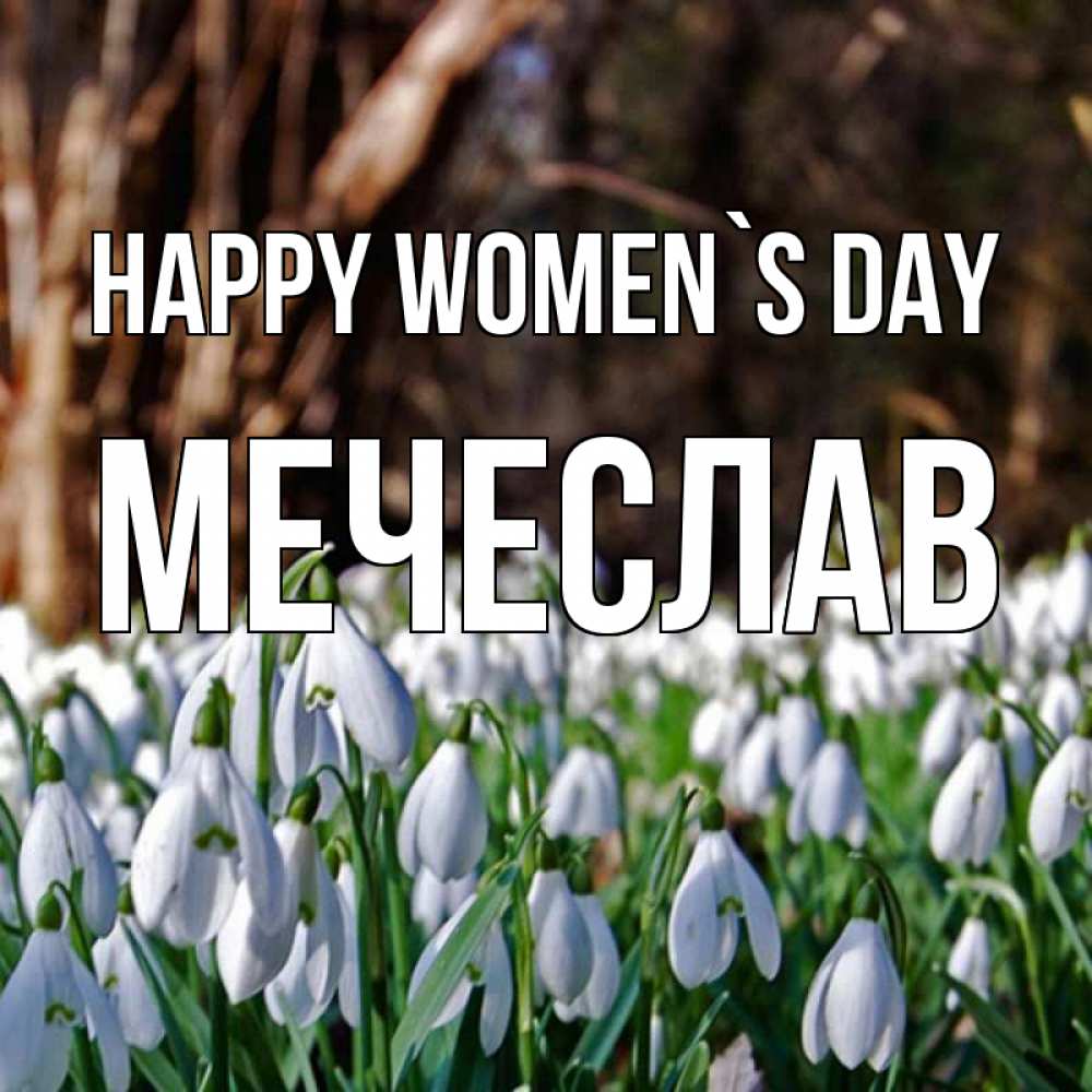 Greetings card с именем, Мечеслав happy women`s day с подснежниками 1 Greetings with text for free download 